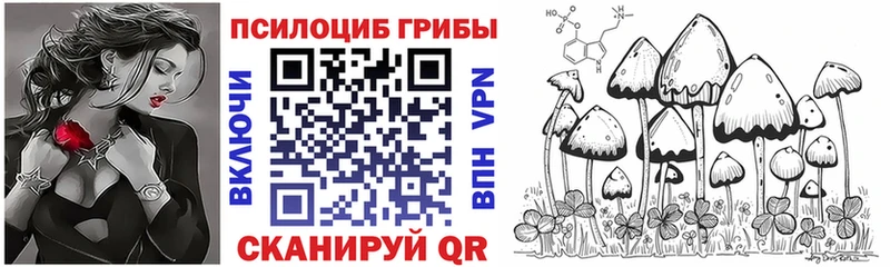 цена   Суворов  маркетплейс телеграм  Галлюциногенные грибы прущие грибы 